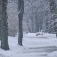 Февраль.Скамеечка :: Владимир Гилясев