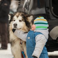 Friends :: Алексей Соловьев