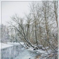 Зимние зарисовки :: Анатолий Катков