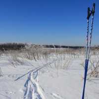 лыжная прогулка :: tayler 