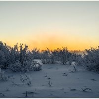 Зарождение нового дня :: Василий Хорошев