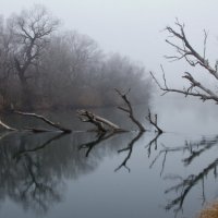туман на реке 3 :: Валерий Тёсса