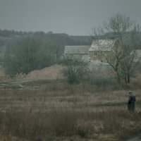 За тихими лесами :: Павел Свинарев