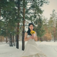 зимняя невеста :: Елена Нешитая