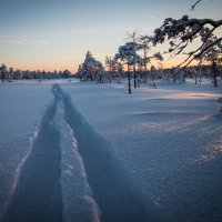 Лыжня почти что олимпийская!))). :: Анатолий Бахтин