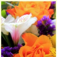 цветы для мамы :: Оксана Безель