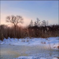 Зимний пейзаж :: Елена Ерошевич