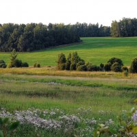 лето :: Андрей Куприянов