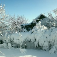 Ух и снежная нынче зима! :: Kassen Kussulbaev