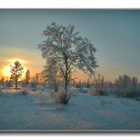 зимний пейзаж.. :: ONEGA SHVAGA