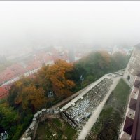Туман над Любляной :: Георгий Ланчевский