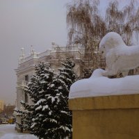 Город в снегу... Лев? :: Natali K