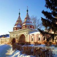 Святые ворота Ризоположенского монастыря. :: Елена Фокина