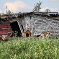 У всякого хозяйства должен быть свой сторож! :: Лилия *