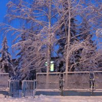 все в снегу.... :: Наталья Меркулова