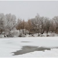 &quot;Февраль&quot; :: Елена Федотовская