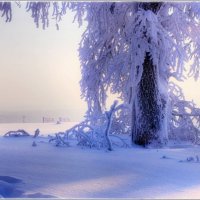 Зима ещё не ушла... :: Андрей Антонов