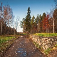 Осень среднего возраста... :: Владимир Комышев