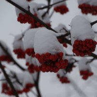 Зима в Уфе :: Диана 