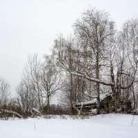 Уже несуществующая деревня Верхнее Плёсо (Кичменгско-Городецкий р-н Вологодской области) :: Юрий Митенёв