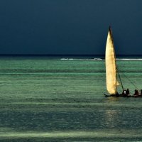 Белеет парус в Занзибаре. :: fototysa _