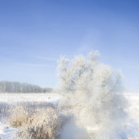 Пейзаж :: Владимир 