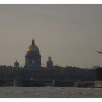 Санкт-Петербург :: Дмитрий Рожков