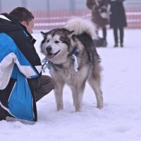 Завiруха 2014. :: Nonna 