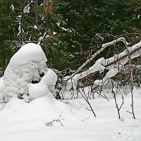 Снежные скульптуры людей в лесу. :: Валерий. Талбутдинов.