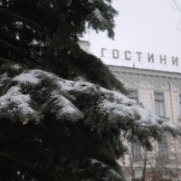 Последний снег. :: Владимир 