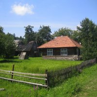 Карпатская деревня. :: Алина Тазова