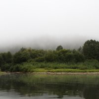 Туман :: Наталья Мацкевич