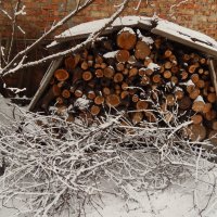 дрова на зиму :: Дарья Неживая