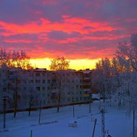 МОЯ ДЕРЕВНЯ С БАЛКОНА. УТРО. :: Виктор Осипчук