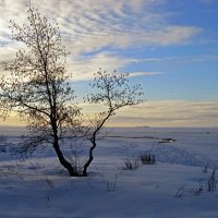 Одиноко...тоскливо...пусто.... :: Людмила Алексеева