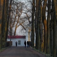 Монплезир. Вечерний променад :: Юрий Цыплятников