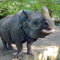 Berlin - ZOO :: france6072 Владимир