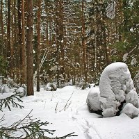 Снежные скульптуры в зимнем лесу. :: Валерий. Талбутдинов.