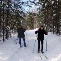 уступи лыжню :: Олег Петрушов