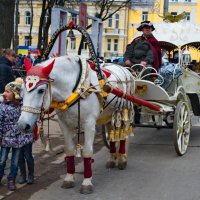 *** :: Олег Семенцов