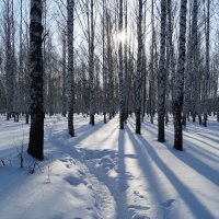 Весна  не за горами ... :: Вик Токарев