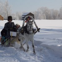 Не тройка лошадей... :: Алёна Барковская