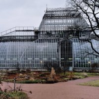 Оранжерея ботанического сада :: Оля Горбачёва