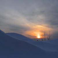 В глухих снегах :: Валерий Талашов