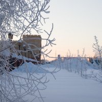 Зимний закат :: Светлана Кулешова