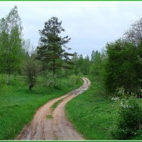 Дороги, которые мы выбираем :: Владимир Гилясев