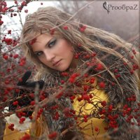 ягода рябина... :: Irina Shepelenko