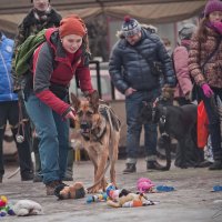 Праздничные соревнования. :: Ulentill Елена