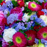 Дарите женщинам цветы! :: Nelly Lipkin