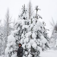 Охотник в зимнем лесу :: Vitaly Kurbet